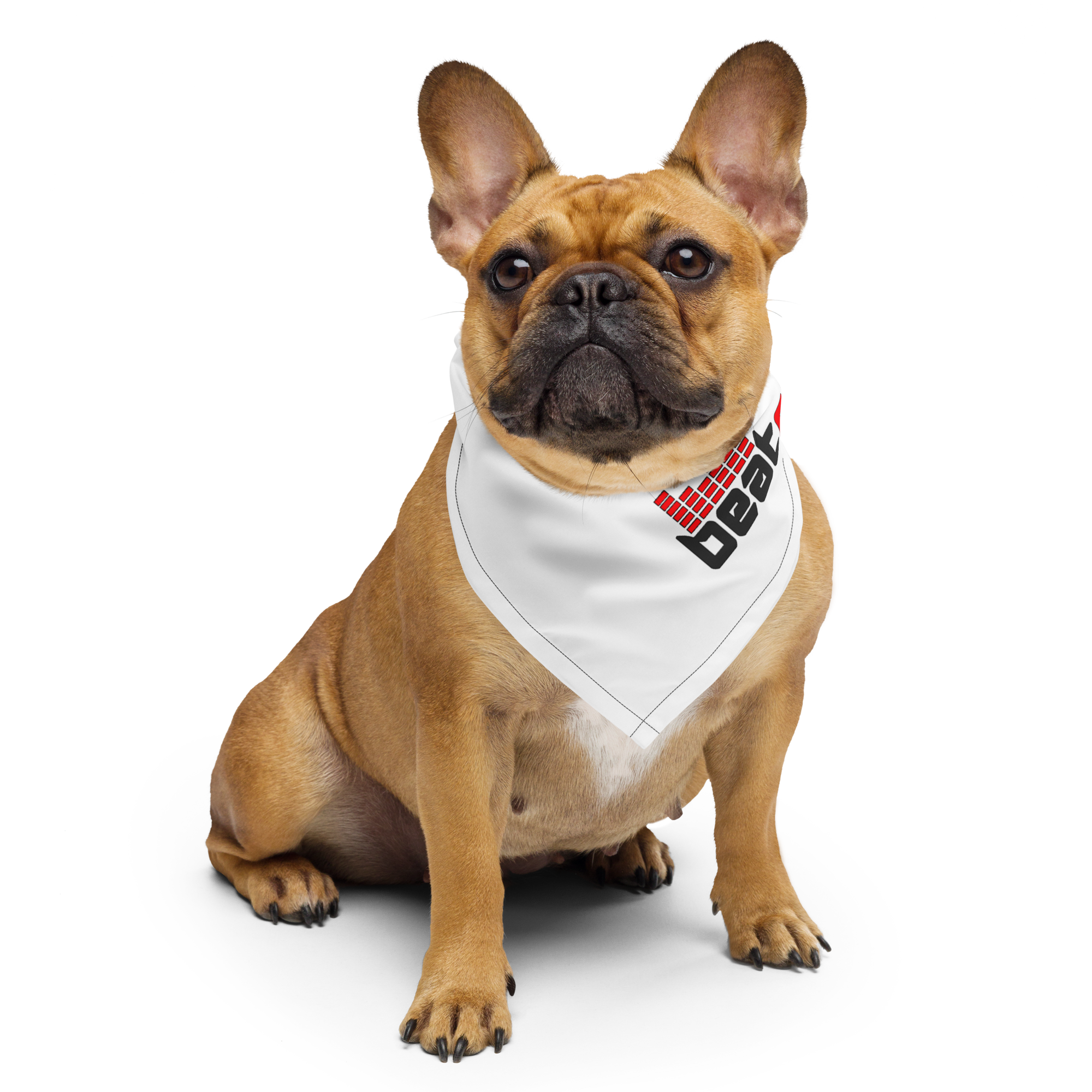 Bandana - Image 5